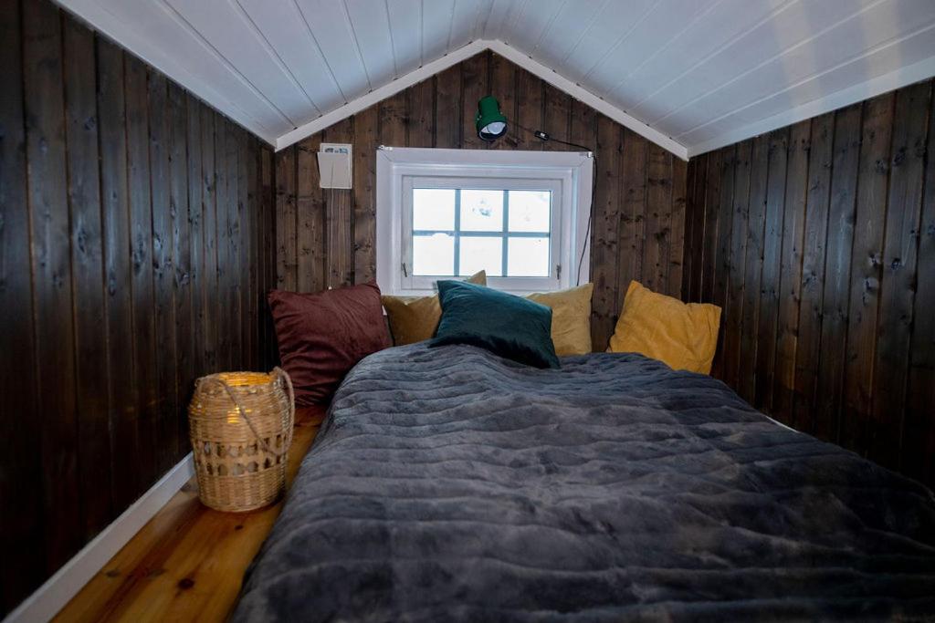 Lodge Vollsnes